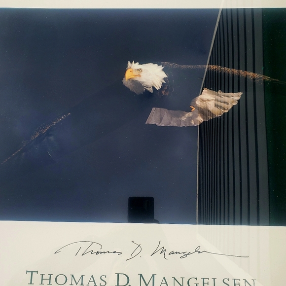 Thomas D. Mangelsen Out Of Darkness Bald Eagle Signed Framed Print Art 34"x28" - Picture 3 of 16